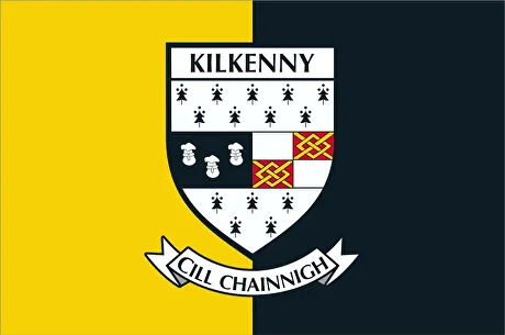 Kilkenny flag
