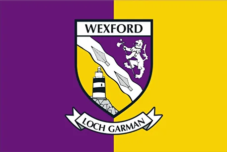 Wexford flag
